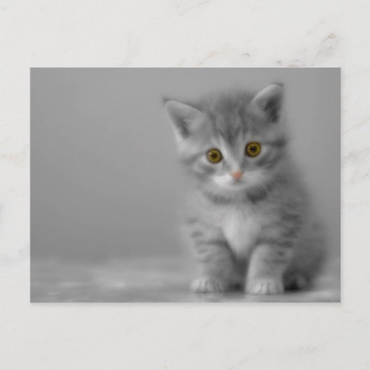 Sweet Little Kitten Postkarte (Vorderseite)