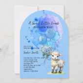 Sweet Little Lamb Baby Dusche Blue Hydrangea Arch Einladung (Vorderseite)