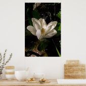 Sweet Magnolia Blossom Poster (Küche)
