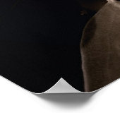 Sweet Magnolia Poster (Ecke)