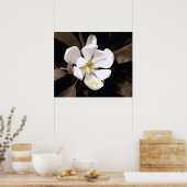 Sweet Magnolia Poster (Küche)