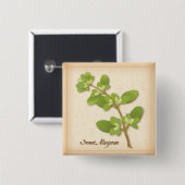 Sweet Marjoram Herb Button (Vorne & Hinten)
