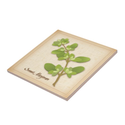 Sweet Marjoram Herb Fliese (Seite)