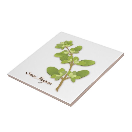 Sweet Marjoram Herb Keramik Tile Fliese (Seite)