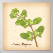 Sweet Marjoram Herb Poster (Vorne)