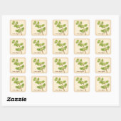 Sweet Marjoram Herb Square Sticker (Blatt)