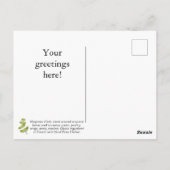 Sweet Marjoram Postcard anpassen Postkarte (Rückseite)