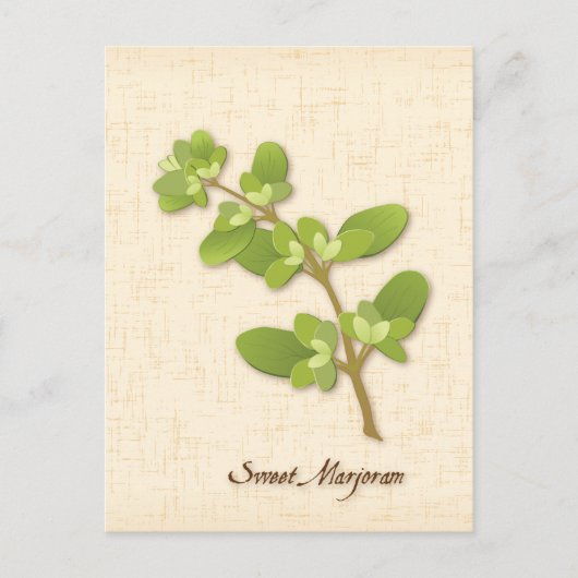 Sweet Marjoram Postcard anpassen Postkarte (Vorderseite)