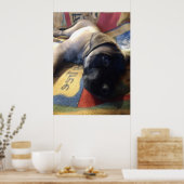Sweet Mastiff Puppy Poster (Küche)
