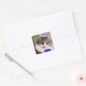 Sweet Mia Sticker (Umschlag)