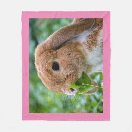 Sweet Mini Lop Kaninchen Fleecedecke (Vorderseite)