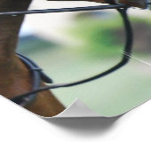 Sweet Morgan Horse Poster (Ecke)