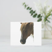 Sweet Mustang Horse Postcard Postkarte (Stehend Vorderseite)