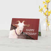 Sweet Nanny Goat Birthday Karte (Gelbe Blume)