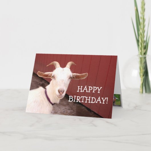Sweet Nanny Goat Birthday Karte (Vorderseite)