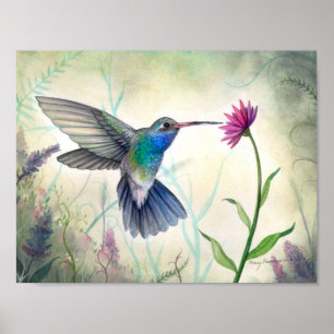 Sweet Nectar Hummingbird und Blume Wasserfarbe Poster