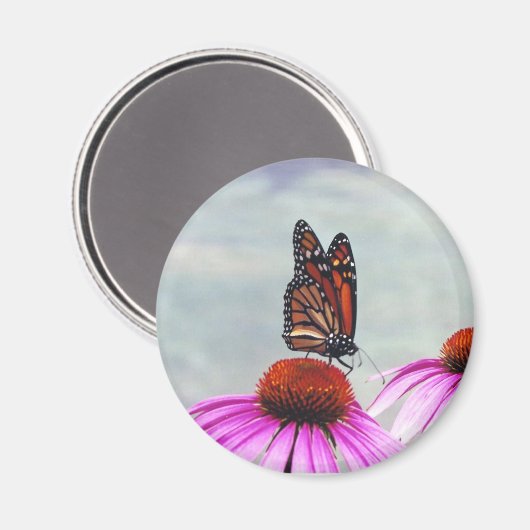 Sweet Nectar - Magnet (Vorderseite/Rückseite)