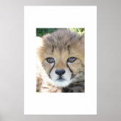 Sweet November Poster (Vorne)