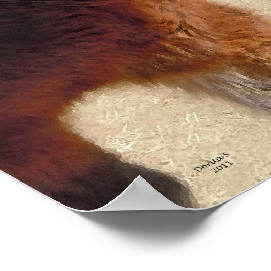 Sweet Old Pony Horses - Pferde und Ponies Poster (Ecke)