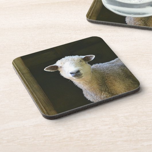 Sweet Ole Sheep Getränkeuntersetzer (Linke Seite)