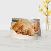 Sweet Orange Maine Coon Cat Karte (Gelbe Blume)