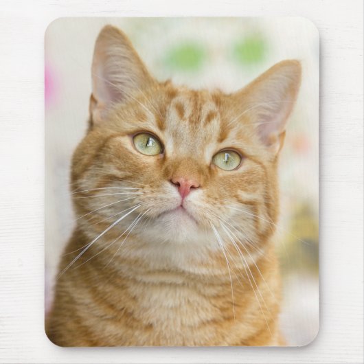 Sweet Orange Tabby Cat Mousepad (Vorne)
