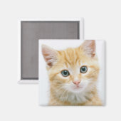 Sweet Orange Tabby Magnet (Vorderseite/Rückseite)