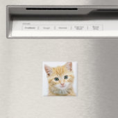 Sweet Orange Tabby Magnet (In Situ (Geschirrspüler))