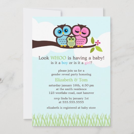 Sweet Owls Gender Reveal Party Einladung (Vorderseite)