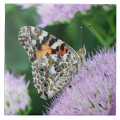 Sweet Painted Lady Fliese (Vorderseite)