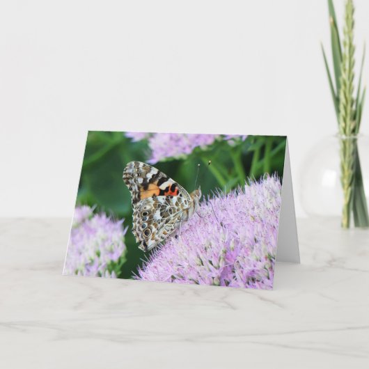 Sweet Painted Lady Karte (Vorderseite)