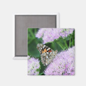 Sweet Painted Lady Magnet (Vorderseite/Rückseite)