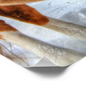 Sweet Palomino Paint Hortering Sheltering aus Schn Poster (Ecke)