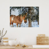 Sweet Palomino Paint Hortering Sheltering aus Schn Poster (Küche)