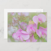 Sweet Pea Blossoms | Seabeck, WA Postkarte (Vorne/Hinten)
