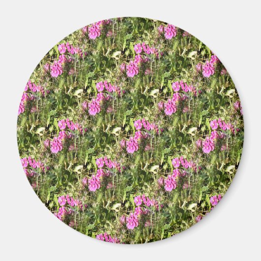 Sweet Pea Lace...... Magnet (Vorne)