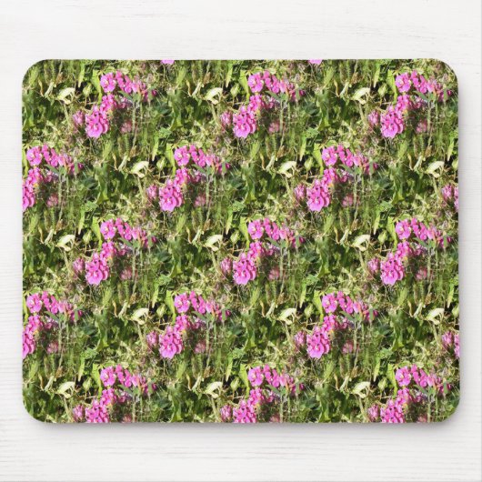 Sweet Pea Lace...... Mousepad (Vorne)