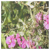 Sweet Pea Lace...... Stoff (Muster)