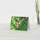 Sweet Pea Note Card Karte (Vorderseite)