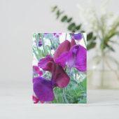 Sweet Pea Postcard Postkarte (Stehend Vorderseite)