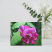 Sweet Pea Postcard Postkarte (Stehend Vorderseite)