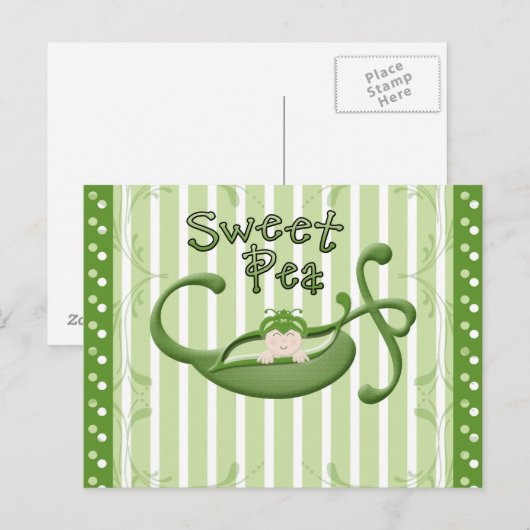 Sweet Pea Postkarte (Vorne/Hinten)