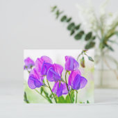 Sweet Pea Postkarte (Stehend Vorderseite)