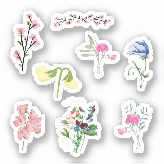 Sweet Pea Stickers Aufkleber (Vorderseite)