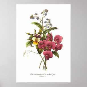 Sweet Pea und Viola Poster
