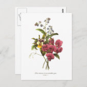 Sweet Pea und Viola Postkarte (Vorne/Hinten)