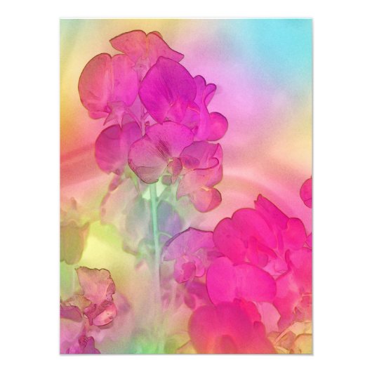 Sweet Pea Watercolor Abstrakt Foto Print (Vorne)
