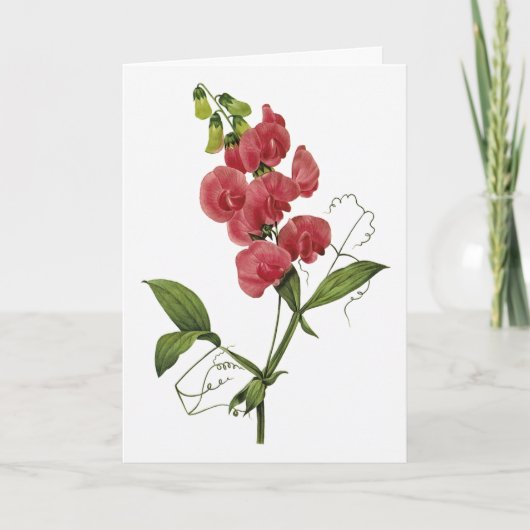 Sweet Pea Watercolor Sympathy Card Karte (Vorderseite)