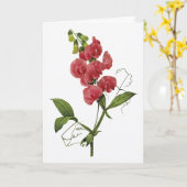 Sweet Pea Watercolor Sympathy Card Karte (Gelbe Blume)