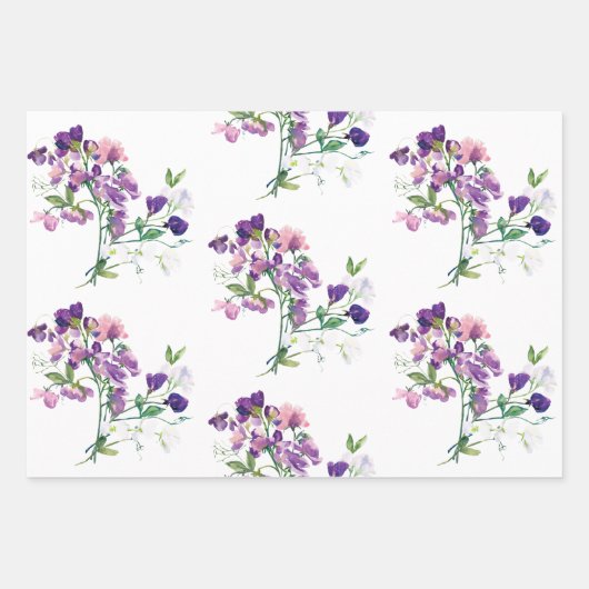 Sweet Pea Wrapping Paper Flat Sheet Set 3 Geschenkpapier Set (Vorderseite)